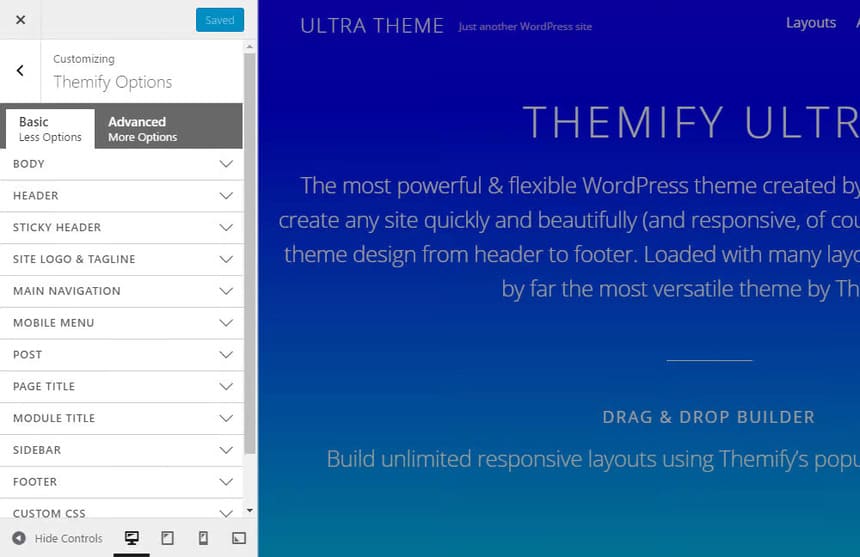 Ultra WordPress Tema Customizer