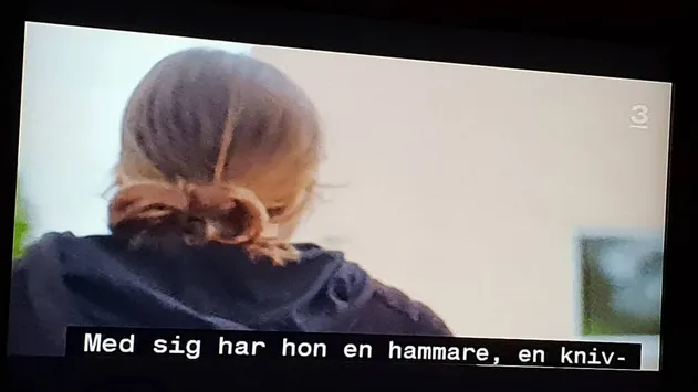 Samhällsperspektiv och folkbildning