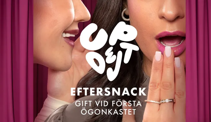 Updejt och eftersnacksprogrammet
